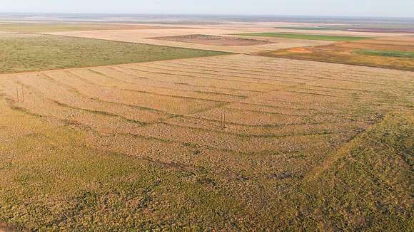 328 Acres of Recreational Land & Farm for Sale in Muleshoe, Texas