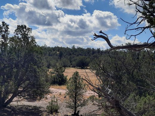 2.4 Acres of Recreational Land for Sale in Seligman, Arizona