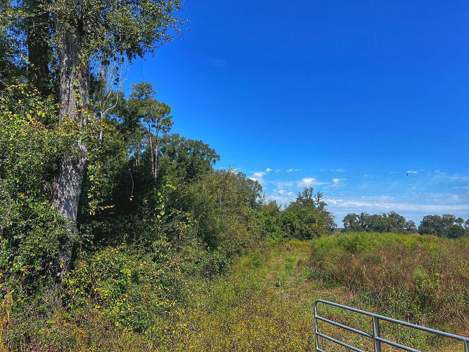 14 Acres of Land for Sale in Branford, Florida