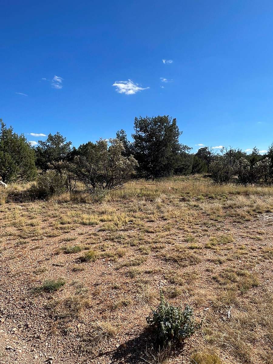 2.48 Acres of Land for Sale in Seligman, Arizona