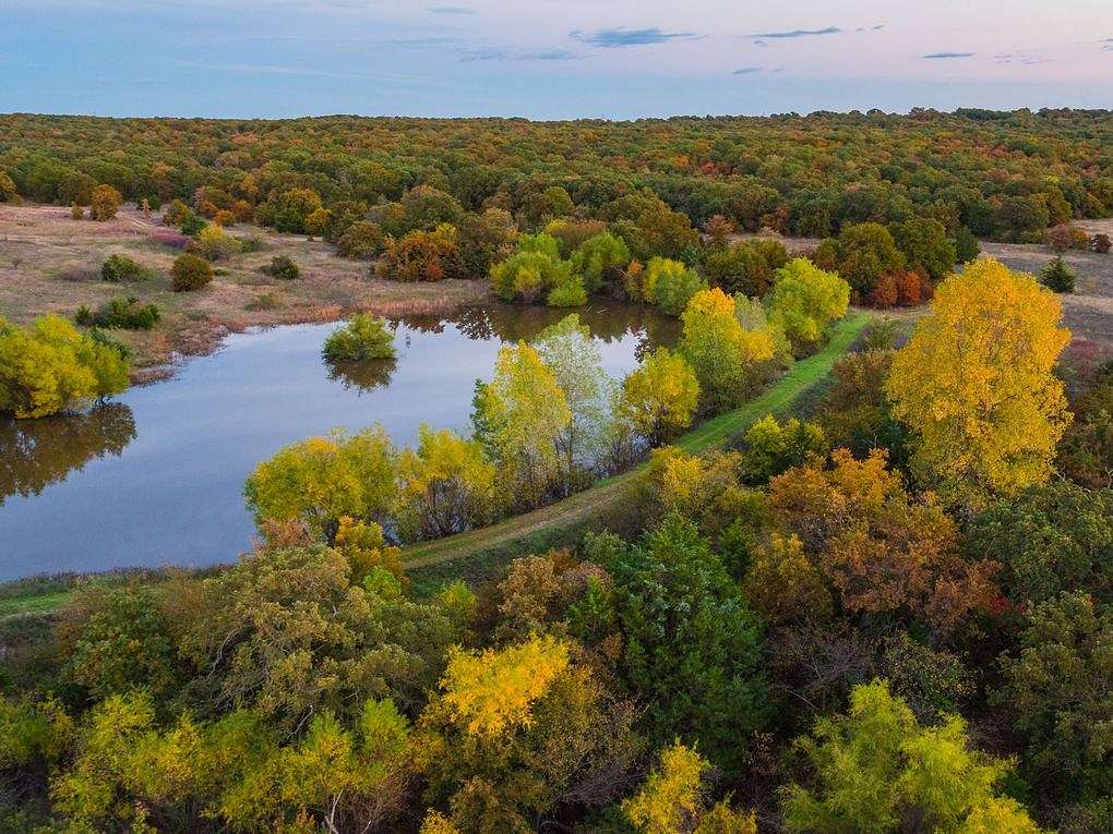 270 Acres of Recreational Land & Farm for Sale in Bowie, Texas