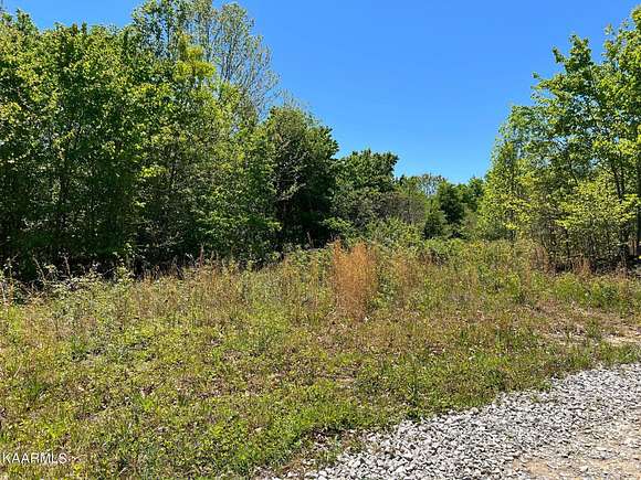 5.3 Acres of Residential Land for Sale in Sunbright, Tennessee