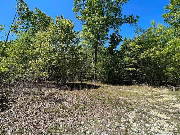 5.3 Acres of Residential Land for Sale in Sunbright, Tennessee - LandSearch