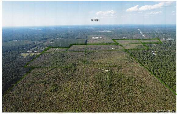 348 Acres of Land for Sale in Dunnellon, Florida