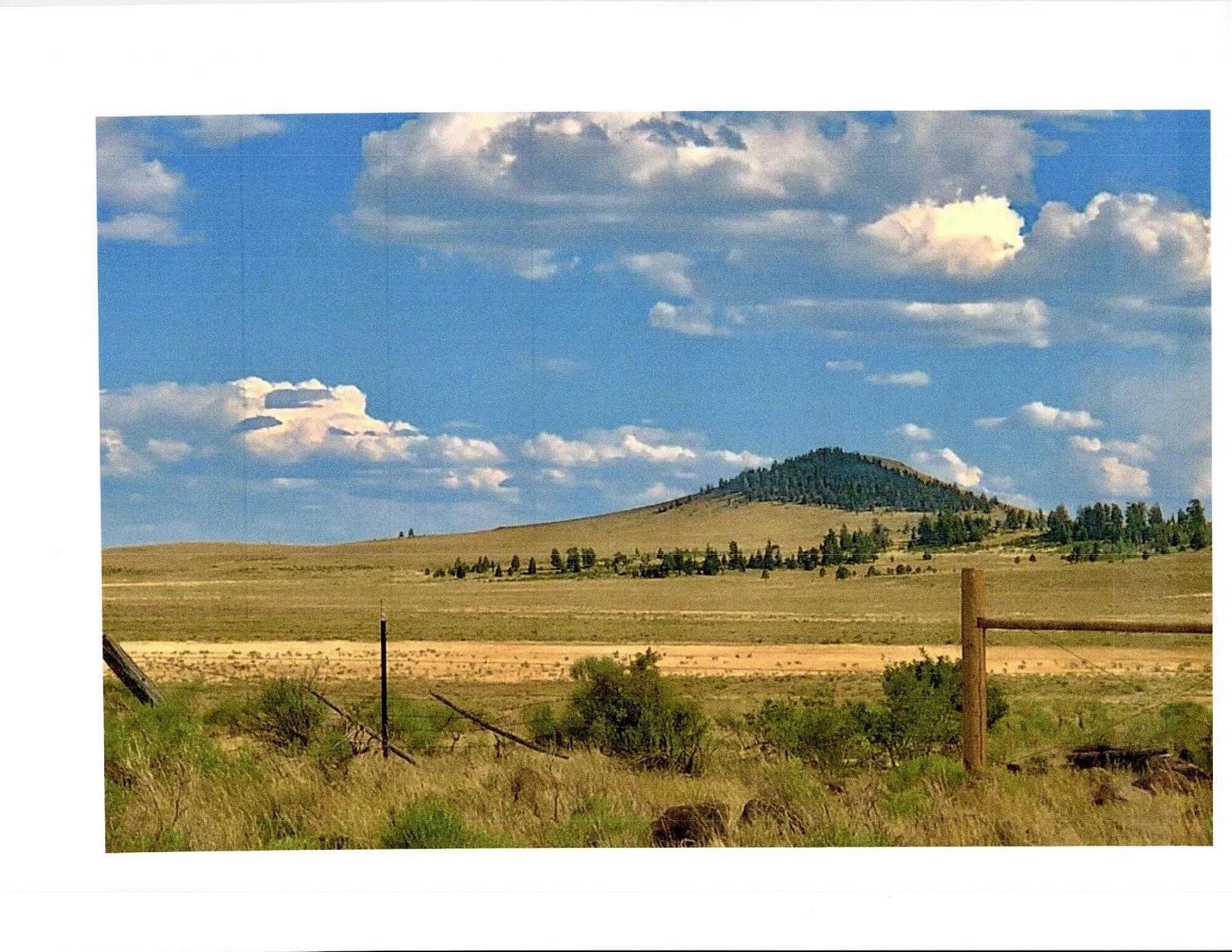 240 Acres of Land for Sale in Tierra Amarilla, New Mexico
