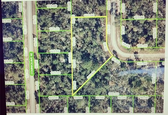 0.23 Acres of Residential Land for Sale in Lake Placid, Florida