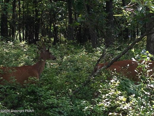 0.39 Acres of Residential Land for Sale in Bushkill, Pennsylvania