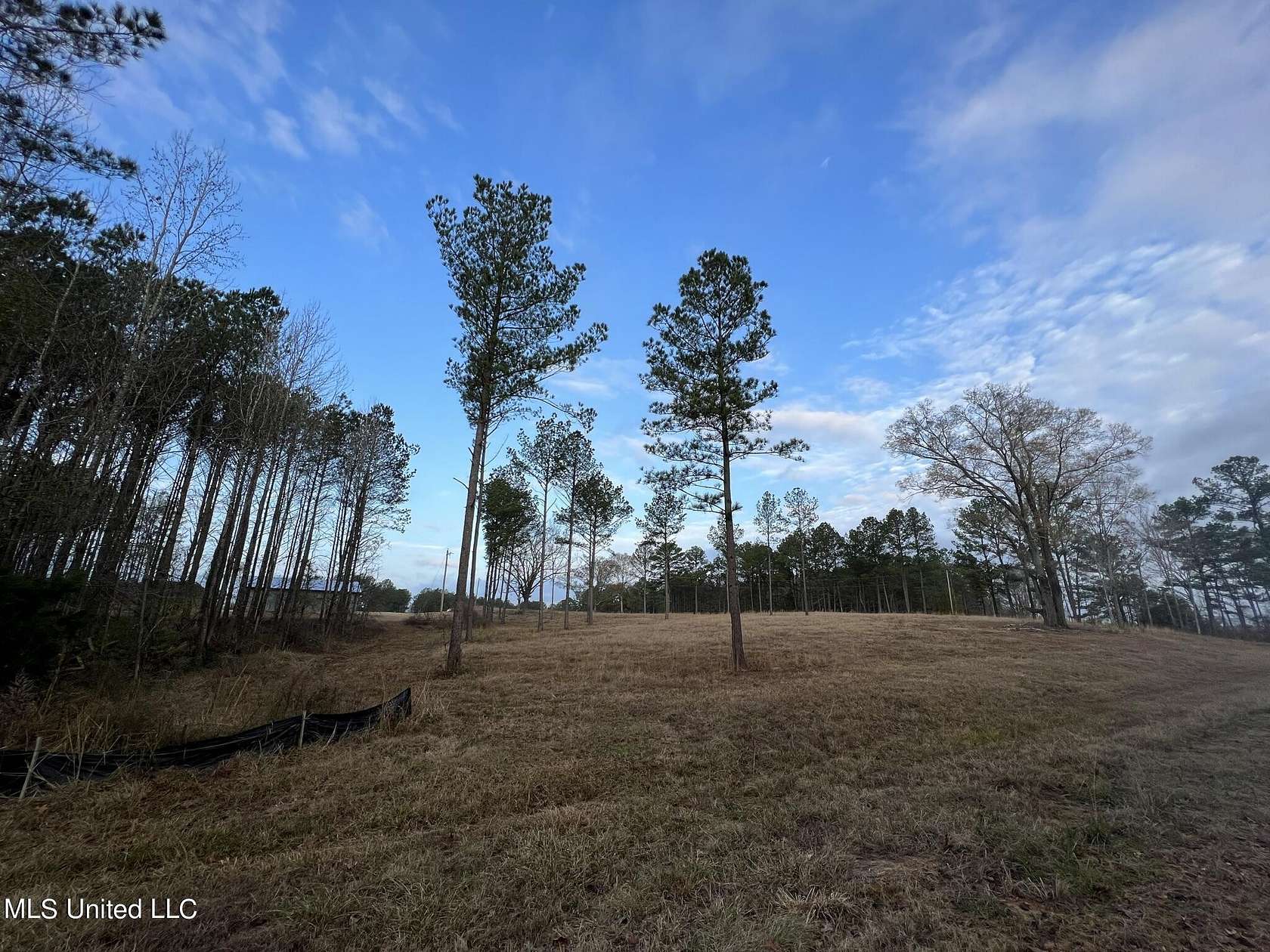 101 Acres of Land for Sale in Canton, Mississippi