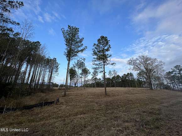 101 Acres of Land for Sale in Canton, Mississippi
