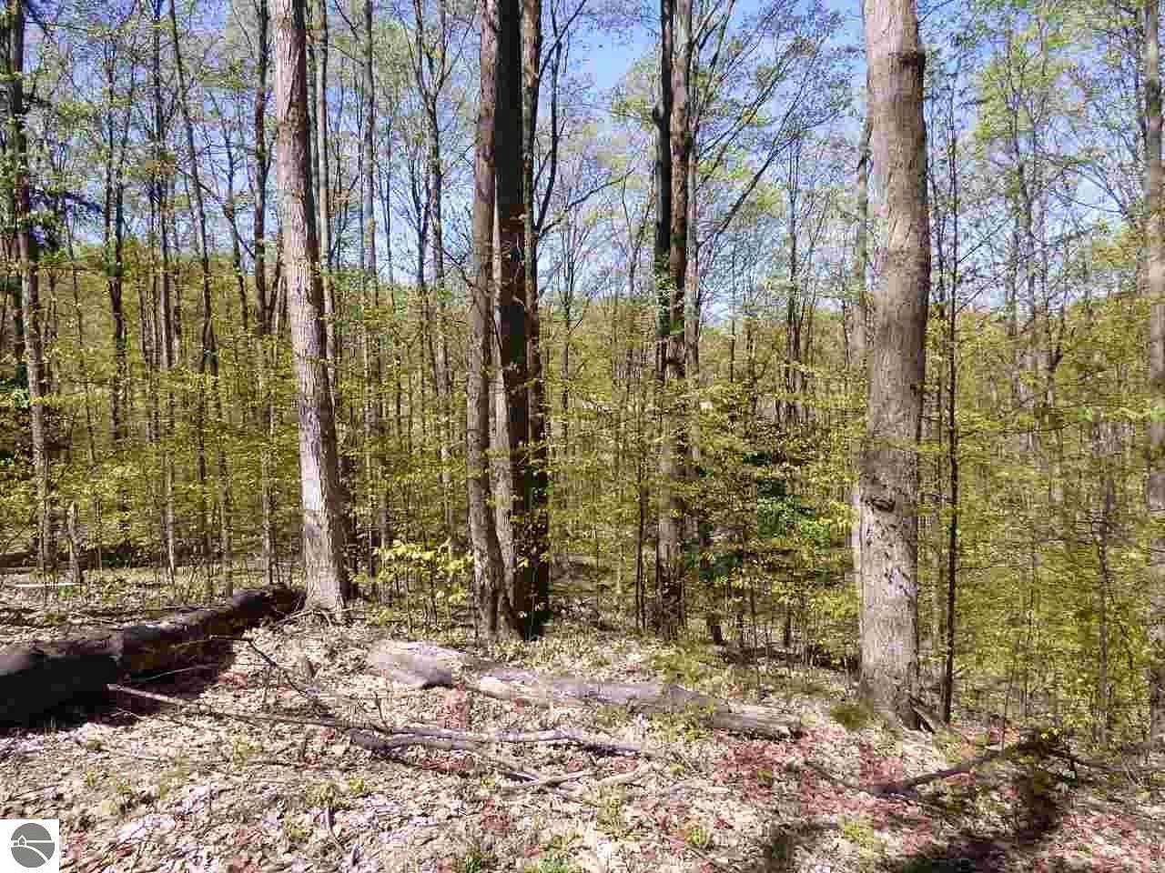 0.84 Acres of Land for Sale in Bellaire, Michigan