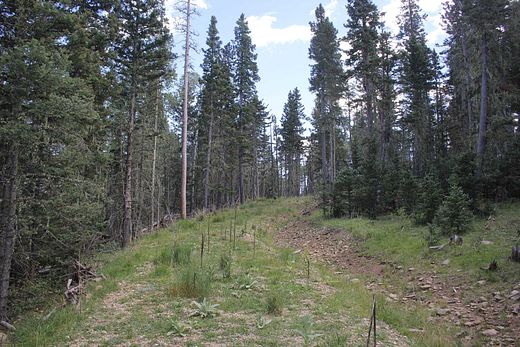 19.8 Acres of Recreational Land for Sale in Black Lake, New Mexico