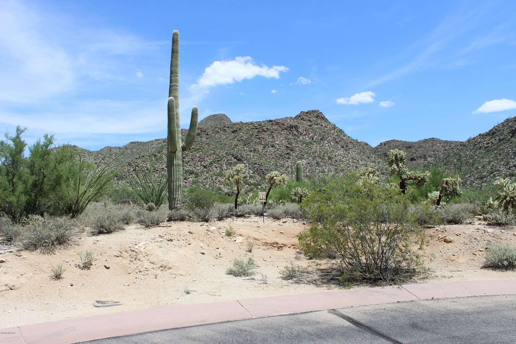 1.3 Acres of Residential Land for Sale in Marana, Arizona