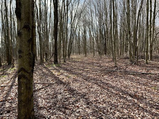 49 Acres of Recreational Land for Sale in Friedens, Pennsylvania