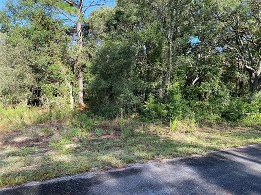 1 Acre of Residential Land for Sale in Dunnellon, Florida