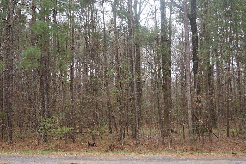 2.7 Acres of Residential Land for Sale in Terry, Mississippi