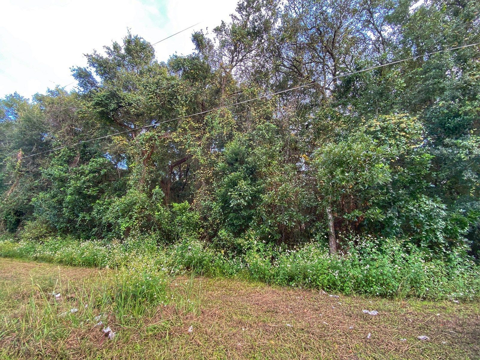 0.3 Acres of Residential Land for Sale in Trenton, Florida