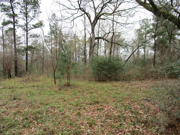 37.6 Acres of Recreational Land & Farm for Sale in Rusk, Texas