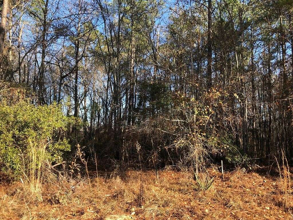 6.8 Acres of Land for Sale in Lyons, Georgia