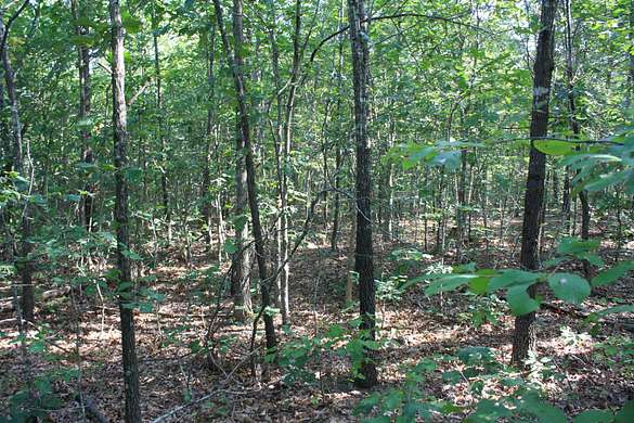 55 Acres of Land for Sale in Centerville, Missouri