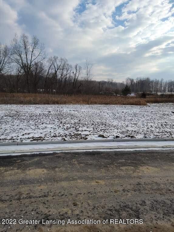 0.15 Acres of Land for Sale in Lansing, Michigan