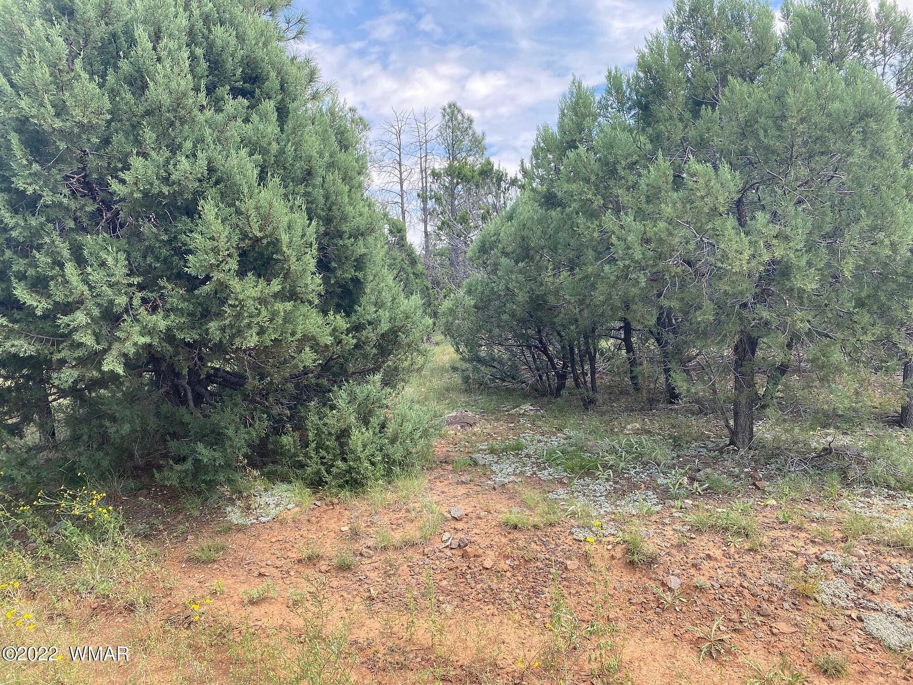 0.26 Acres of Residential Land for Sale in Lakeside, Arizona