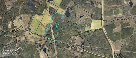 91 Acres of Agricultural Land for Sale in Swainsboro, Georgia