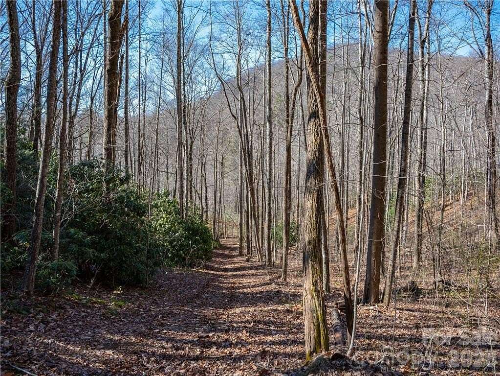 10 Acres of Residential Land for Sale in Swannanoa, North Carolina