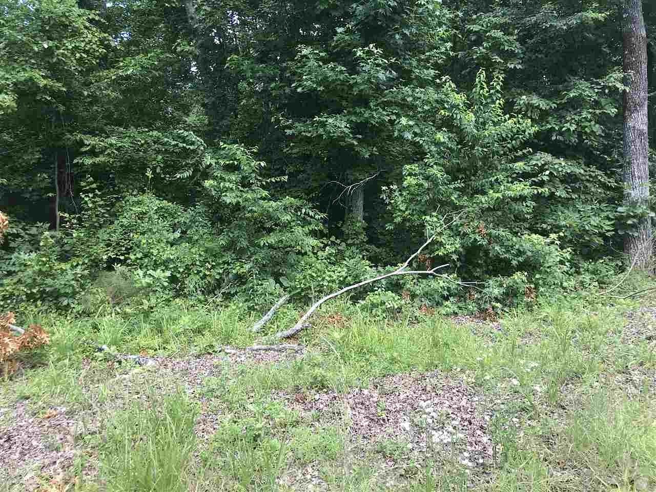 0.1 Acres of Land for Sale in Counce, Tennessee