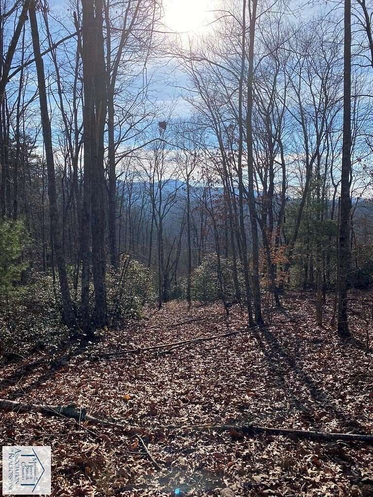 10.9 Acres of Land for Sale in Stuart, Virginia