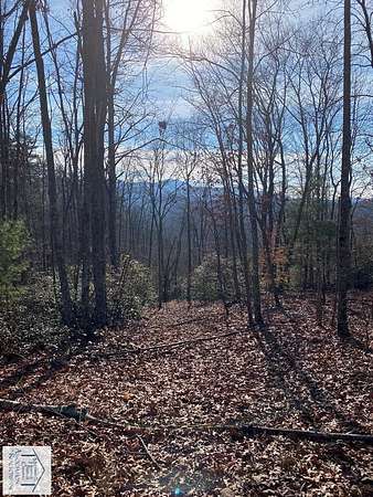 10.9 Acres of Land for Sale in Stuart, Virginia