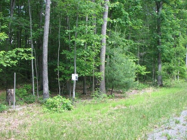 0.27 Acres of Land for Sale in Daniels, West Virginia