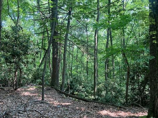 0.69 Acres of Land for Sale in Daniels, West Virginia