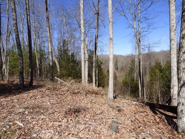 Land for Sale in Daniels, West Virginia