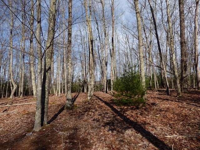 0.73 Acres of Residential Land for Sale in Daniels, West Virginia