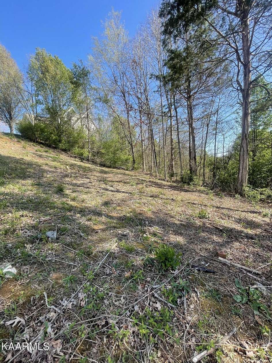 0.3 Acres of Residential Land for Sale in Knoxville, Tennessee