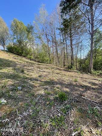 0.3 Acres of Residential Land for Sale in Knoxville, Tennessee