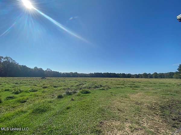 41.9 Acres of Agricultural & Residential Land for Sale in Poplarville, Mississippi