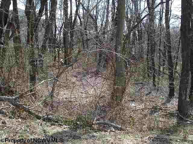 Residential Land for Sale in Fairmont, West Virginia