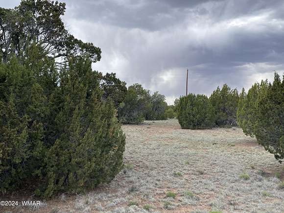 0.46 Acres of Residential Land for Sale in Concho, Arizona