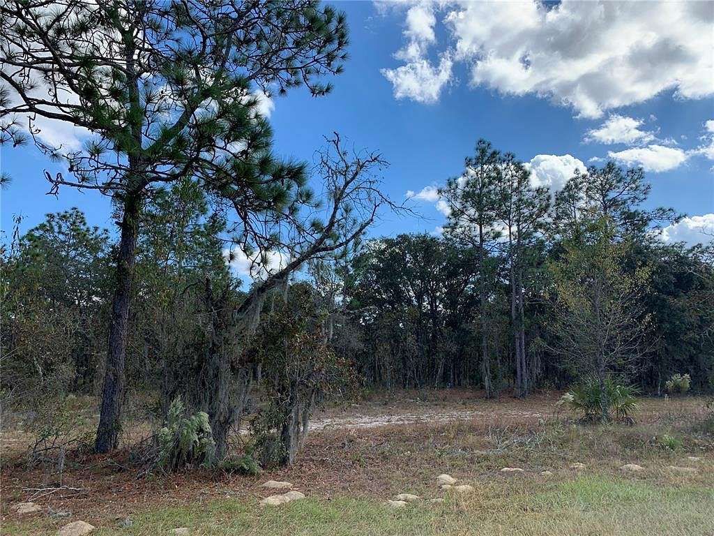 6.7 Acres of Land for Sale in Morriston, Florida