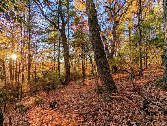 4.4 Acres of Land for Sale in Floyd, Virginia