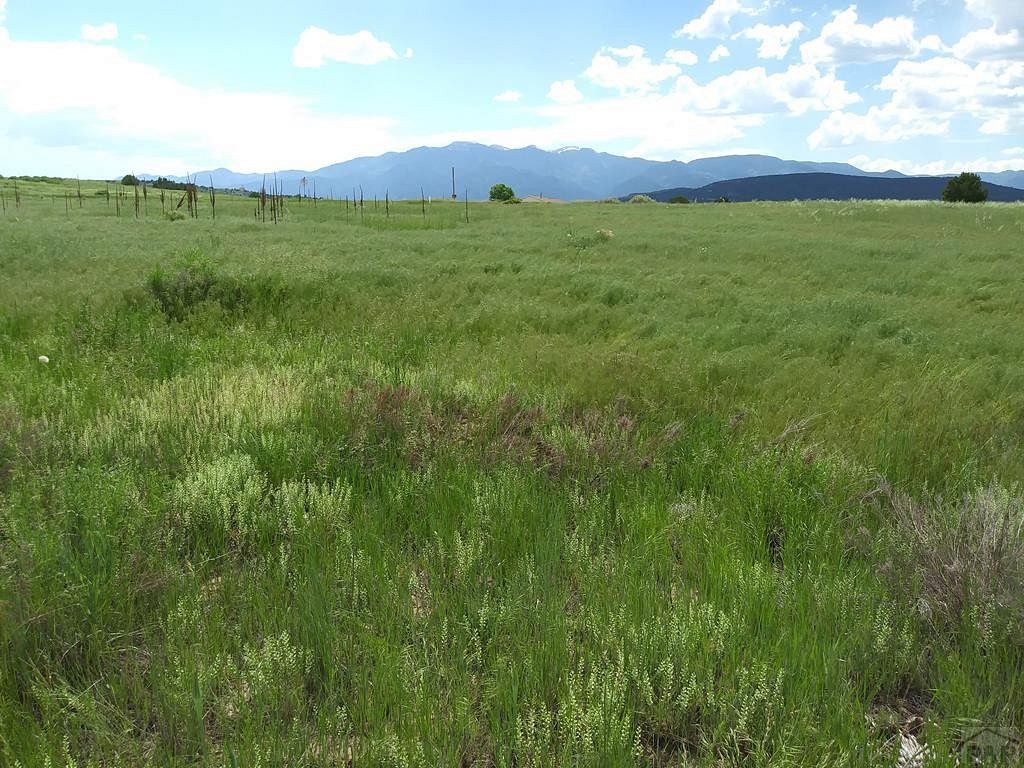 0.37 Acres of Residential Land for Sale in Colorado City, Colorado