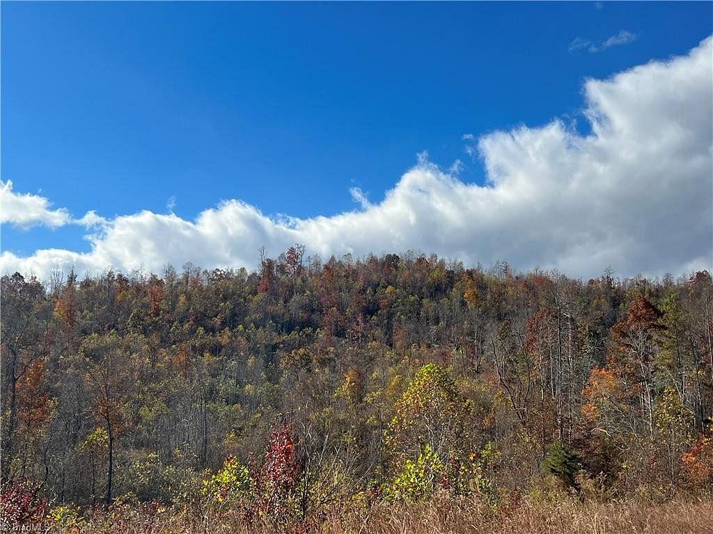 18.7 Acres of Recreational Land for Sale in Millers Creek, North Carolina