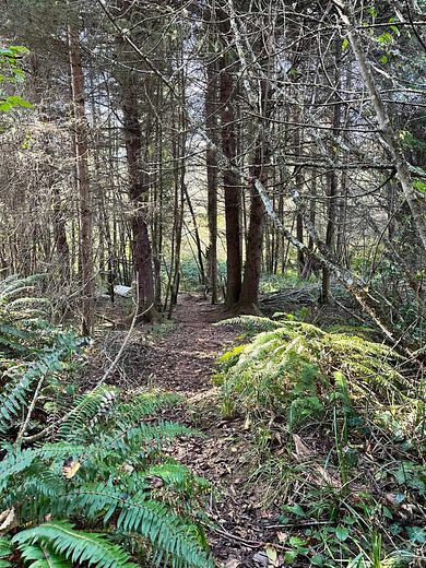 0.68 Acres of Residential Land for Sale in Crescent City, California