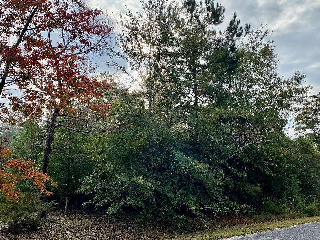19 Acres of Land for Sale in Picayune, Mississippi