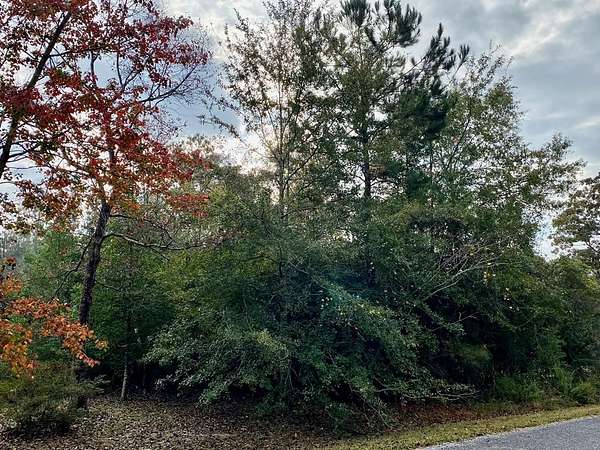 19 Acres of Land for Sale in Picayune, Mississippi
