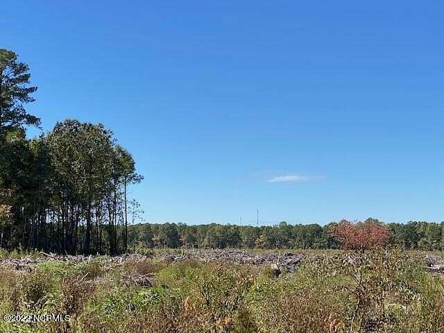69.7 Acres of Recreational Land for Sale in Ahoskie, North Carolina