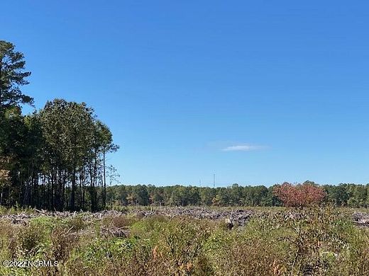 69.7 Acres of Recreational Land for Sale in Ahoskie, North Carolina