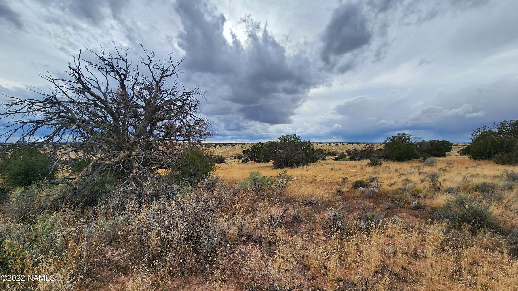 76.1 Acres of Land for Sale in Williams, Arizona