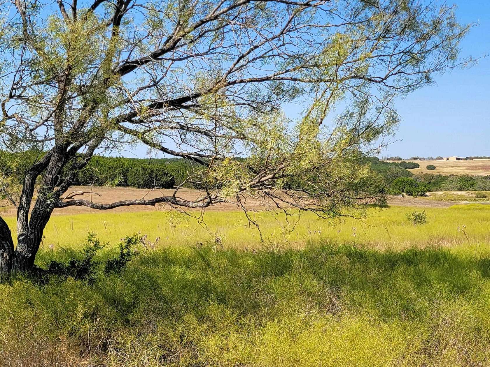 11 Acres of Agricultural Land for Sale in Burnet, Texas